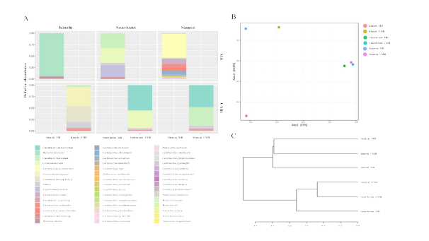 김치와 사우어크라우트, 쏸차이의 MB와 UMB의 species 수준에 서의 다양성 비교(A)와 PLS-DA plot(B), HCA plot(C)