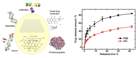 산화그래핀(Graphene oxide;GO) 약물방출거동
