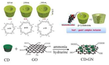 시클로덱스트린(CD)-그래핀(GO) 나노복합물 구조