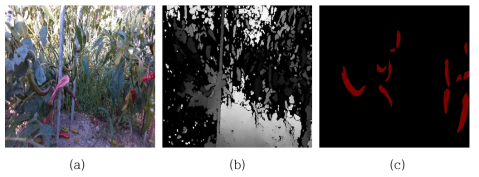 텃밭에서 촬영된 데이터셋 구성 (a) RGB영상 (b) depth 영상 (c) ground truth