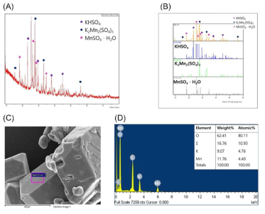 반용매 침전법 회수물질 정성평가 결과: (A) XRD 분석 결과, (B) XRD peak 매칭, (C) SEM 분석 결과, (D) SEM-EDS 분석 결과