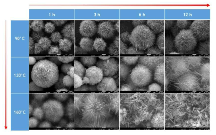 산화침전법 온도와 시간에 따른 nanorod 형태 변화