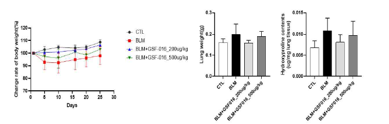 Bleomycin으로 유도된 폐섬유화 동물모델에서 GSF-016 투여에 의해 몸무게, 폐 중량, 그리고 hydroxyproline 함량에 미치는 영향