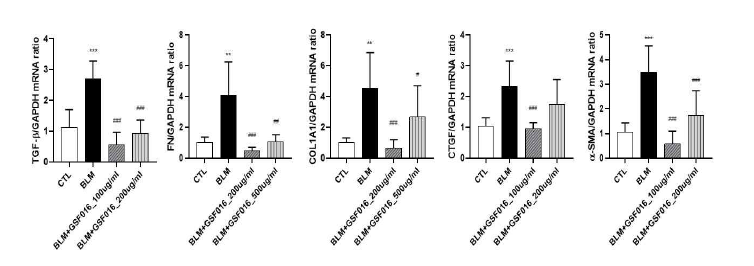 Bleomycin으로 유도된 폐섬유화 동물모델에서 GSF-016 투여에 의한 fibrogenesis 관련 유전자들의 발현 변화