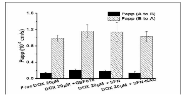 SFN 계열 GSF-016의 P-gp inhibition 연구