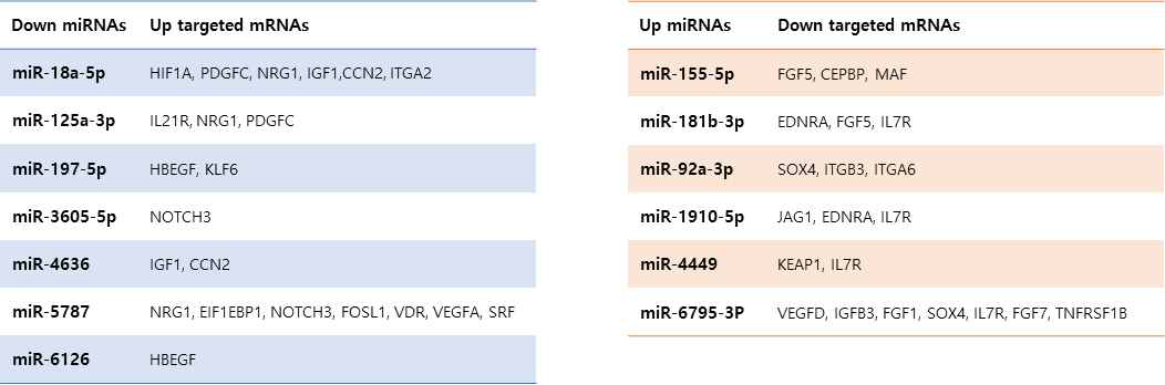 섬유화 관련 network 형성에서 선별된 13개의 miRNAs와 각 target mRNAs