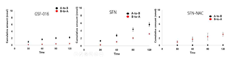SFN 계열 GSF-016의 위장관 투과도 (Caco-2) 연구