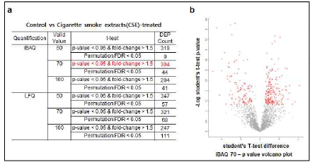 폐상피세포 conditioned media 내 secretomics 분석. DEL1 발현조절인자를 규명하기 위한 실험의 일환으로, 사람일차 폐소기도상피세포 (n=5)에 담배연기추출물 을 24시간 처치하고 세포배양액 수거. 세 포배양액 내 단백질체 분석. a, iBAQ, LFQ 방법으로 p-value  1.5, valid value 50%, 70%, 100% 기준 으로 differentially expressed proteins (DEPs) 분석. iBAQ valid value 70% t-test p-value  1.5인 DEPs 304개 확인. b, iBAQ 70-volcano plot