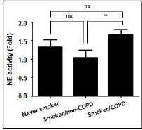 흡연자/non-COPD 그룹과 비교해 흡연자/COPD 환자 폐조직에서 호중구 elastase 활성 증가. 정상인, 흡연자/non-COPD, 흡연자/COPD 환 자 (각 n=5)의 폐조직을 수집/급속 동결보관. Fluorometric neutrophil elastase activity assay kit (Biovision)를 사용하여 폐조직 내 호중구 elastase 활성 평가. 흡연자/non-COPD 폐조직에서 호중구 elastase 활성이 가장 낮게 측정되었고, 흡연자/non-COPD 환자군과 흡연자/COPD 환자군 사이에서 유의미한 차이를 확인하였음. ns, not-significant