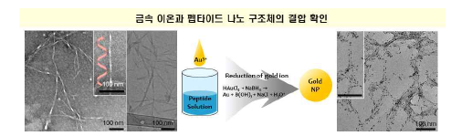 금손 이온 도입에 따른 초분자 카이럴성 제어 및 광학특성 평가