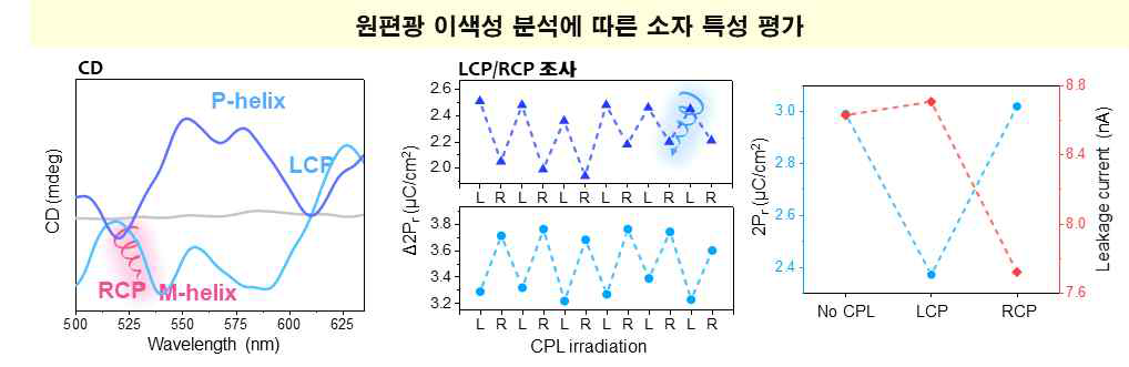 우편향, 좌편향 헬리컬 나노구조체 기반 소자의 특성 평가