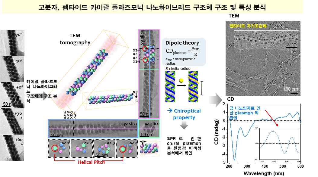 나노구속효과에 의해 제어된 고분자-금 초분자 나노카이럴체 내 입자간 거 리 제어에 따른 원편광 감응 특성 및 핵심 조절 인자 확인