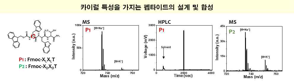 펩타이드 설계 및 합성된 화학구조 확인