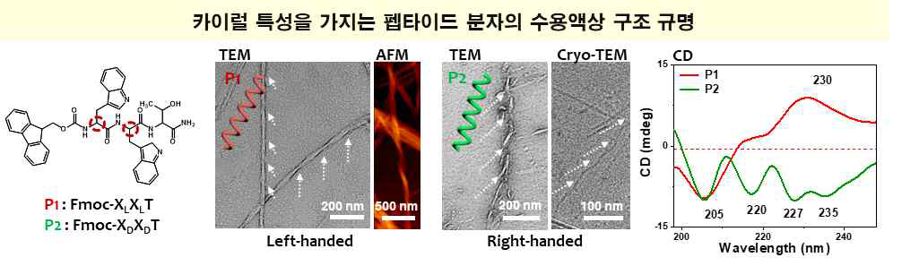 TEM, AFM 및 CD 분석을 통해 초분자 카이럴 특성 확인