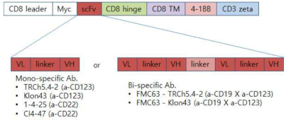 Anti-CD123, CD22 mono-specific & anti-CD19 X anti-CD123 bi-specific CAR 구조