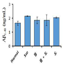 Aβ1-40 측정