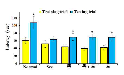 수동 회피 실험