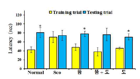 수동 회피 실험