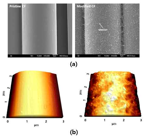 MWCNT 코팅에 의한 탄소섬유 표면 변화