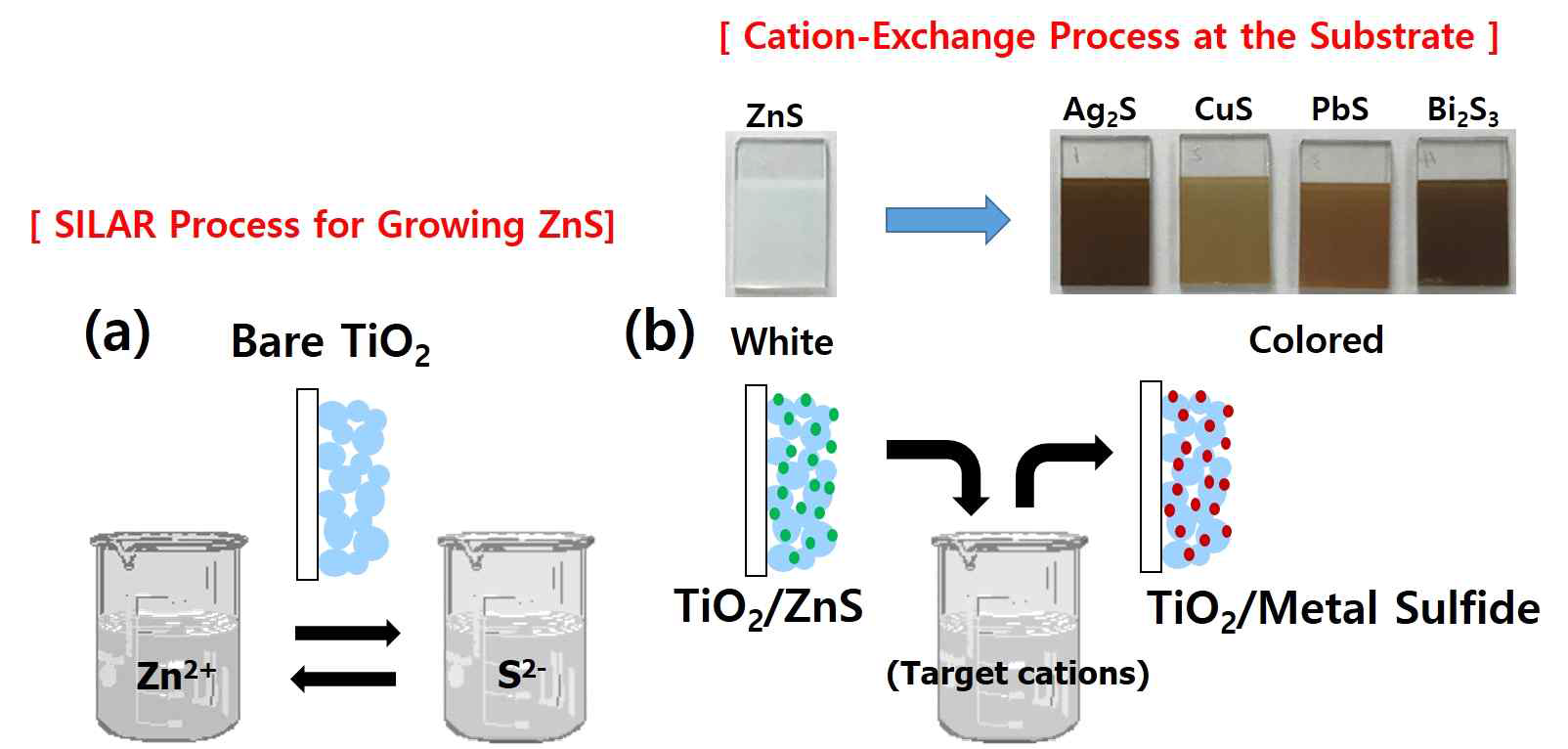 (a) SILAR 법에 의해 메조포러스한 TiO2 박막 표면에 ZnS 성장과 (b) 원하는 금속 양이온으로 교환을 나타내는 실험 개략도