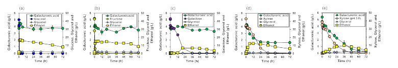 4종의 단당류(a, glucose; b, fructose; c, galactose; d-e, xylose) 및 펙틴산의 혼합당 발효 결과(a-d, 초기 pH 조절 전; e, 초기 pH 3.0 조절 후(pH 3.0))