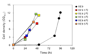 감귤박(citrus peel waste) 유사 조건에서 펙틴산 발효 효모의 adaptive evolution 결과