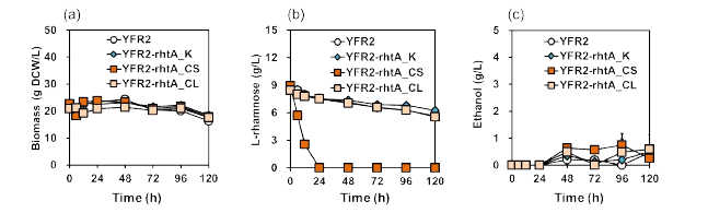 곰팡이성 L-rhamnose 대사경로가 최적화된 균주(YFR2-rhtA_K = YFR3)의 L-rhamnose 발효 결과(a, 세포 농도; c, L-rhamnose 소비; c, ethanol 생산)