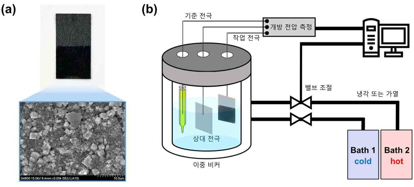 (a) 작업 전극 (b) 개방 전압 측정을 위한 3전극 시스템(작업, 상대, 기준전극)과 항온 수조를 이용한 온도 제어 장치