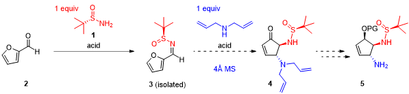 tert-butanesulfinamide 와 diallylamine 의 연속적인 첨가