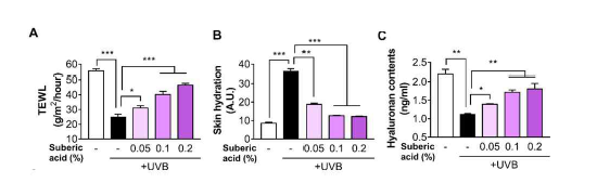 Suberic acid prevents UVB-Induced skin dryness in hairless mice. The effect of three dietary suberic acid concentrations (0.05%, 0.1% and 0.2%) on (A) Transepidermal water loss (TEWL) and (B) skin hydration on the back of hairless mice exposed to UVB for 10 weeks. (C) Changes in skin hyaluronic acid concentration following 10 weeks of continuous dietary suberic acid administration in UVB-exposed hairless mice. Results are shown as means ± SEM (n=8). Significant differences between groups are shown as * P < 0.05; ** P < 0.01; *** P < 0.001