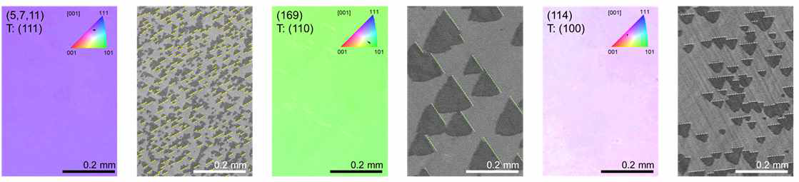(100), (110), (111) terrace facet을 갖는 다양한 high-index 기판의 EBSD 측정 결과 및 해당 표면에 성장된 WS2 grain들의 SEM 이미지