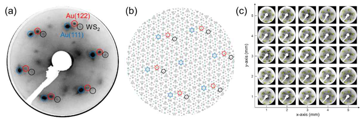 Au(122) 표면에 성장된 WS2 film의 (a) LEED 패턴, (b) simulation 결과 및 (c) LEED mapping 결과