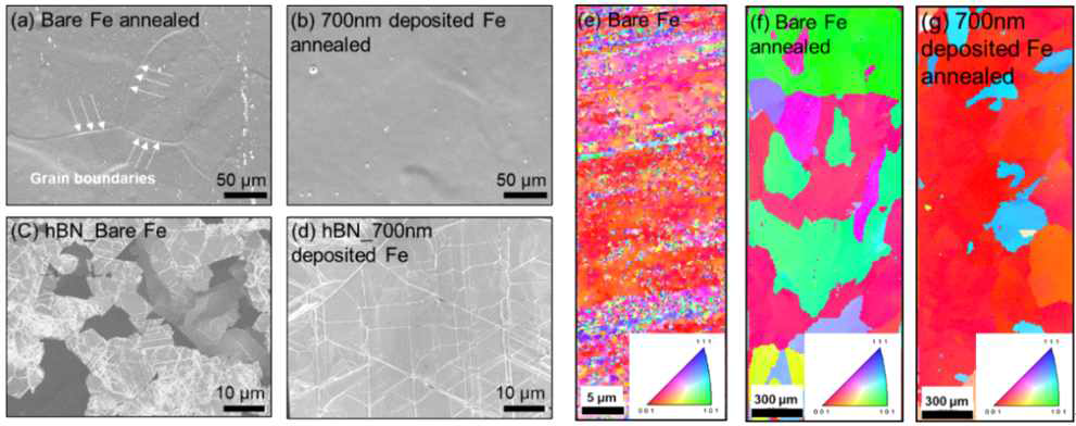 (a-d) Bare Fe 및 Fe 증착 후 열처리를 통해 얻어진 Fe 기판의 표면 및 각 기판에서 성장된 hBN의 SEM 이미지, (e-g) Bare Fe, 700 nm 증착 후 열처리한 Fe의 EBSD 측정 결과