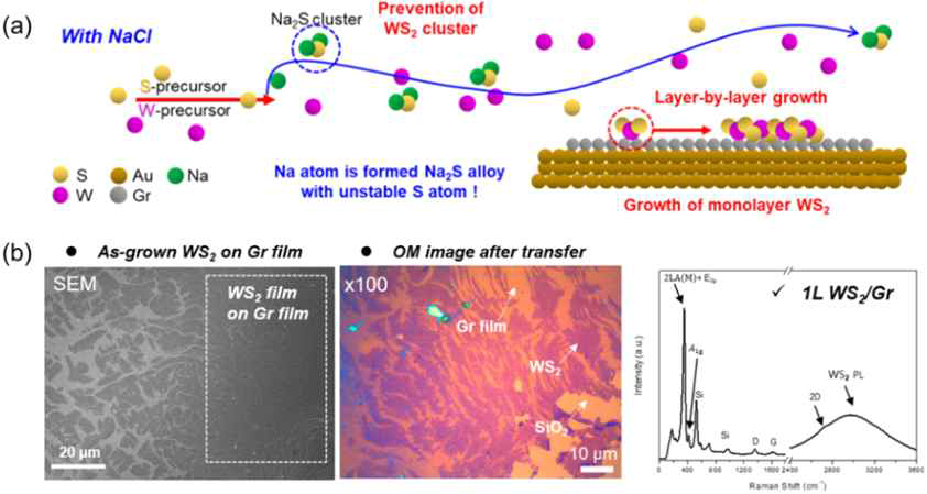 NaCl을 활용하여 WS2/Gr film의 성장 모식도 및 결과 (SEM, OM, Raman)