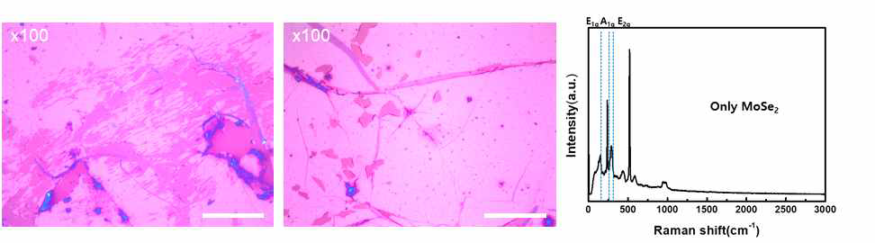 Gr/hBN 위 MoSe2 직성장 결과 - 광학이미지 및 Raman spectrum