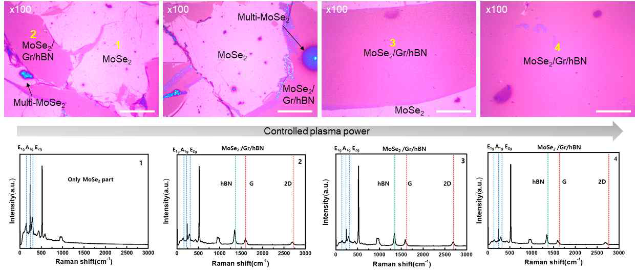 조절된 plasma 처리에 따른 MoSe2 성장 후 결과 비교 - 광학이미지 및 Raman spectrum