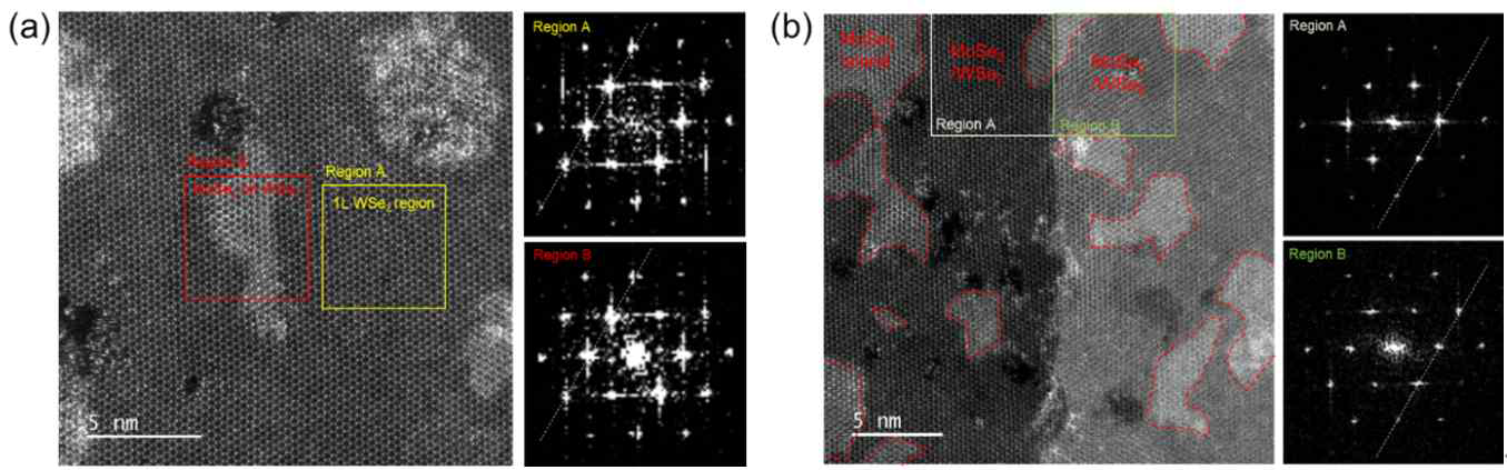 MoSe2/WSe2이종구조 epitaxial 성장 결과 - STEM image 및 SAED pattern