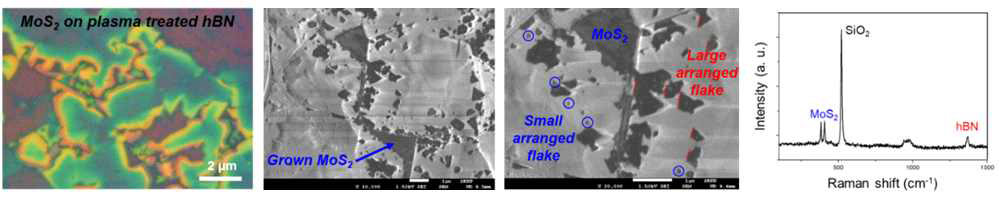 Plasma 처리된 hBN 위 MoS2성장 분석 결과 - OM, SEM 이미지 및 Raman spectrum
