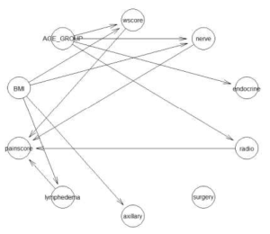 Bayesian Network Models Affecting Cancer Pain