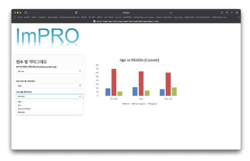 ImPRO System: Visualization