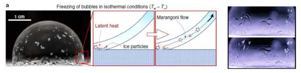 등온 조건에서 비누막이 얼어붙는 역학의 도식화와 실제 실험사진