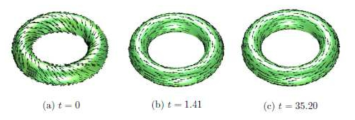 곡면(예: torus)위에서 시간에 따라 변화하는 벡터장들