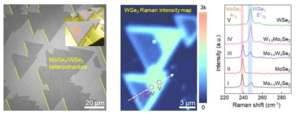 단결정으로 성장된 MoSe2/WSe2 혼성구조의 SEM, Raman 측정 결과