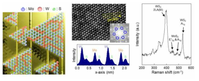 단결정으로 성장된 MoXW1-XS2 혼성구조의 TEM, Raman 분석 결과
