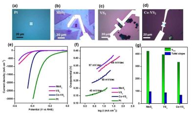 Electrochemical cell 측정 소자의 광학현미경 이미지와 촉매 특성 측정 결과