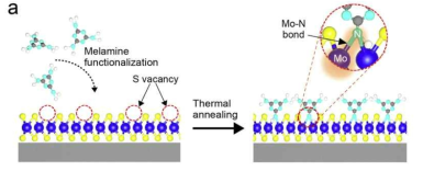 MoS2의 멜라민 도핑 모식도