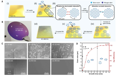 단결정 hBN 합성 모식도 및 시간에 따른 커버리지 변화