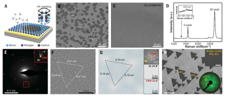 단결정 hBN 위에 합성된 대면적 단결정 그래핀, WS2의 분석 결과