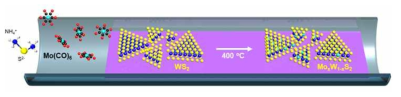 WS2에 Mo 원자 치환 도핑 방법에 관한 모식도
