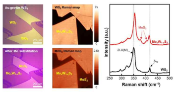 Mo 치환 도핑 전/후 광학현미경 및 라만 맵핑 이미지, 라만 스펙트라
